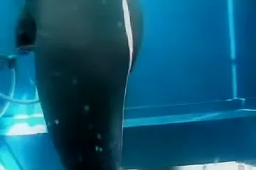 Девушки в кабинках на пляже не знают о скрытой камере Девушки в кабинках на пляже не знают о скрытой камере